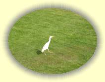 IMG_2007_05_31 11_55_24 * 2272 x 1704 * (919KB)